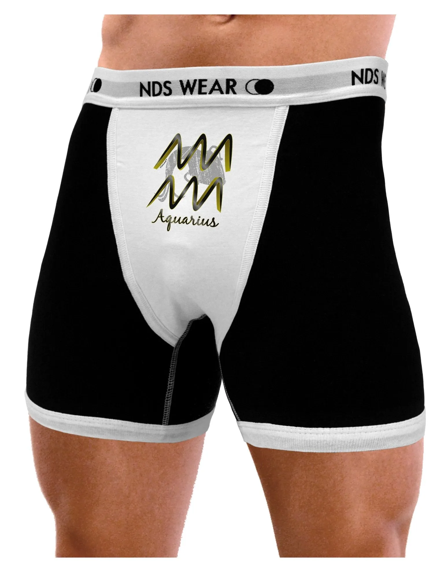 Aquarius Symbol Mens Boxer Brief Underwear